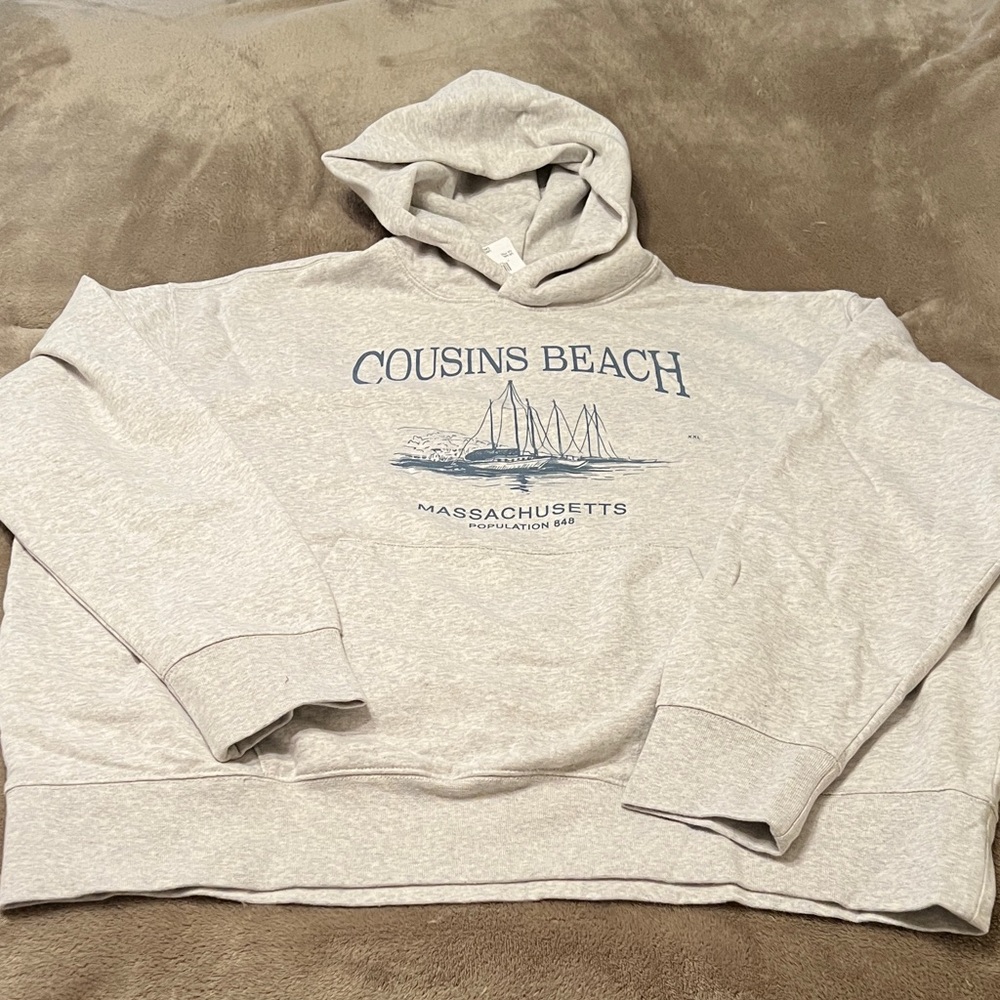 American Eagle Outfitters Light Heather Gray Hoodie with Navy Graphic TSITP